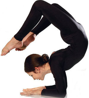 810C Lycra Long Sleeve Scoop Neck Unitard Many Colors Available