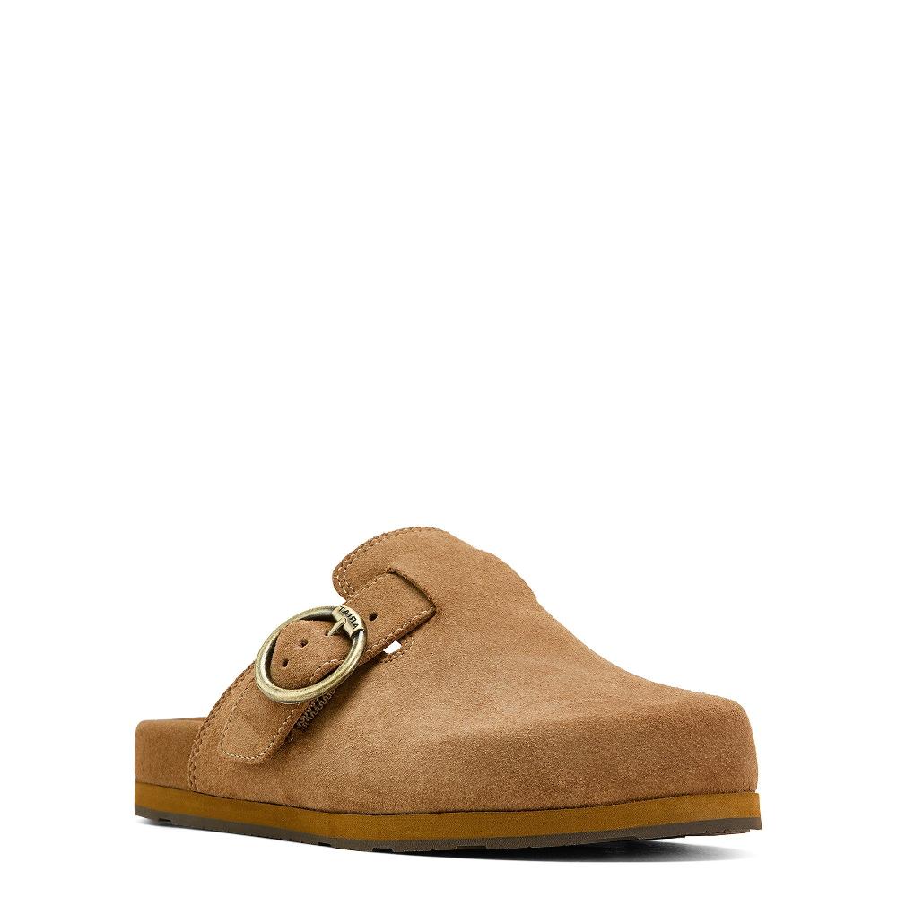 Ariat Caramel Suede Country Mule Women's Shoes 10061236