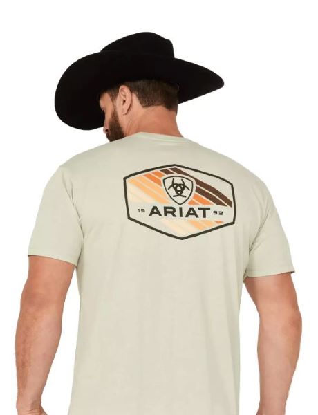 Ariat Desert Sage Heather Retro Hex Stripe Men's T-Shirt 10047654