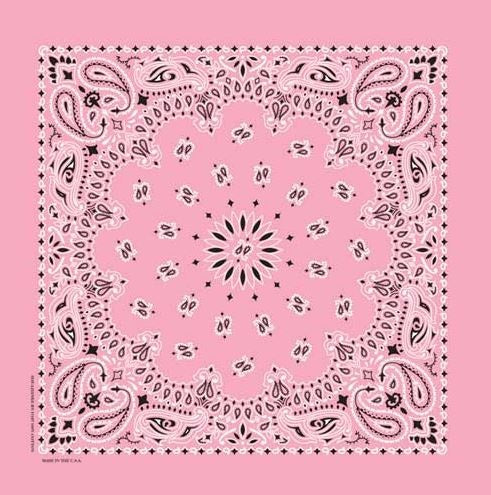 Carolina Manufacturing Pink Paisley Bandanna 22