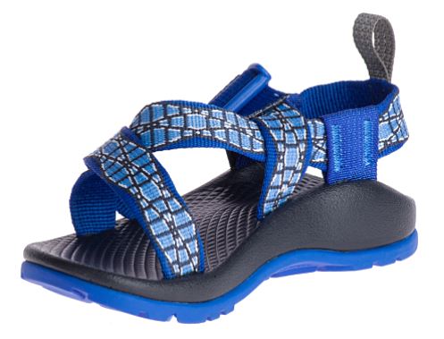 Chaco Swell Eclipse Big Kid's Kids Z/1 Ecotread Sandals J180061