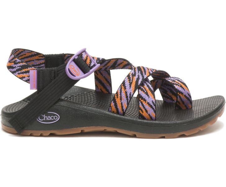 Chaco Wily Violet Z/Cloud 2 Womens Sandals JCH109034