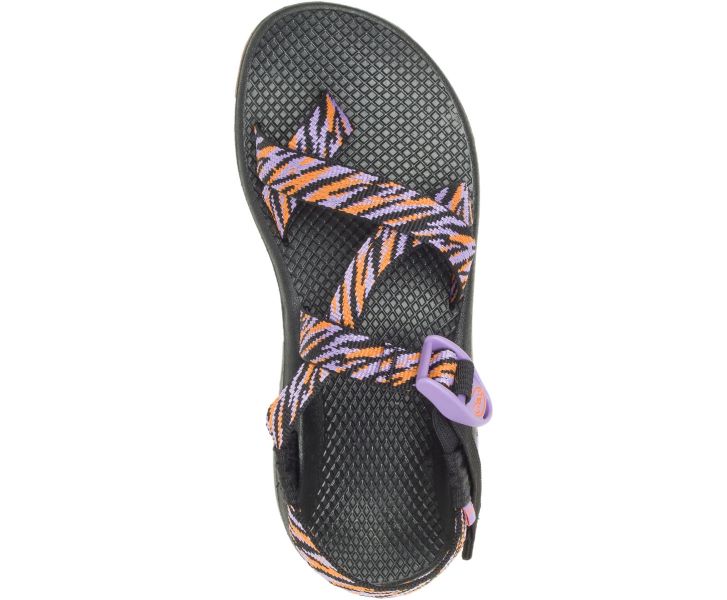 Chaco Wily Violet Z/Cloud 2 Womens Sandals JCH109034