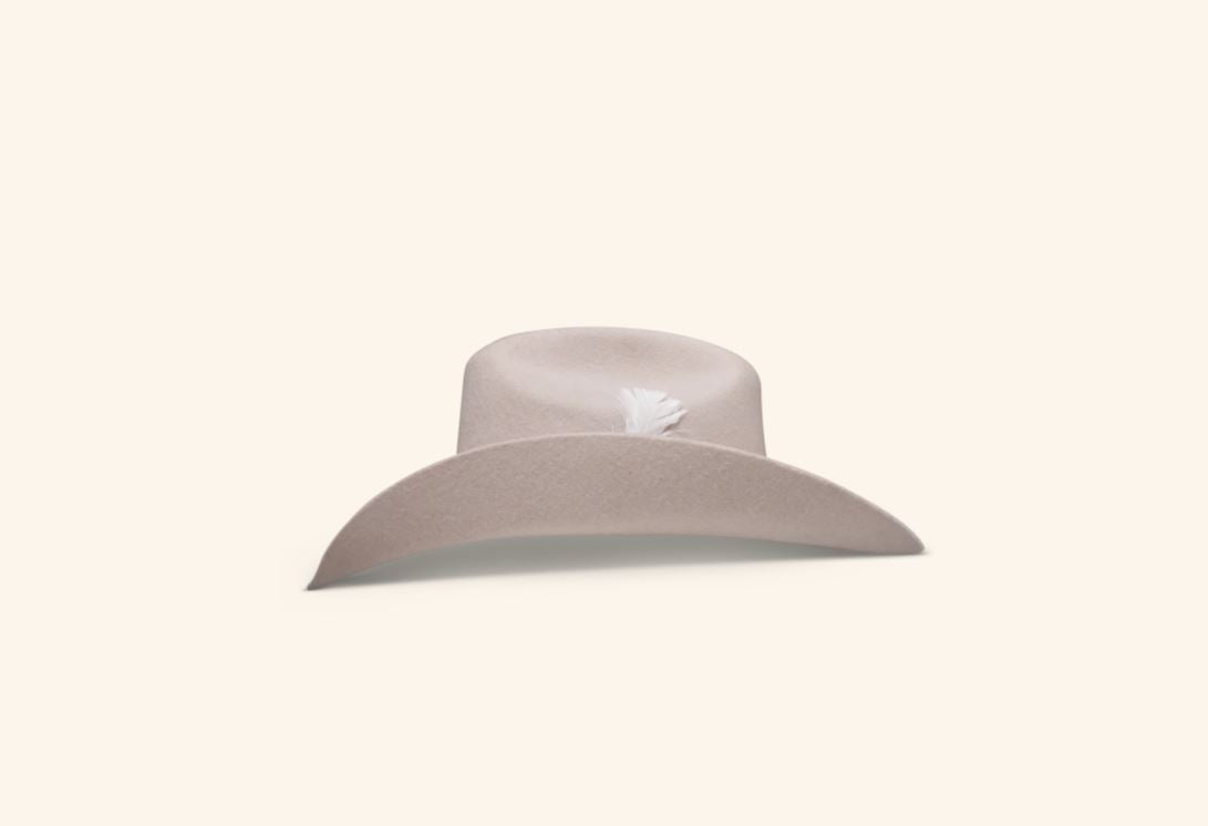 Charlie1Horse Silverbelly Saddle Up Women's Hat CWSDUP-954061