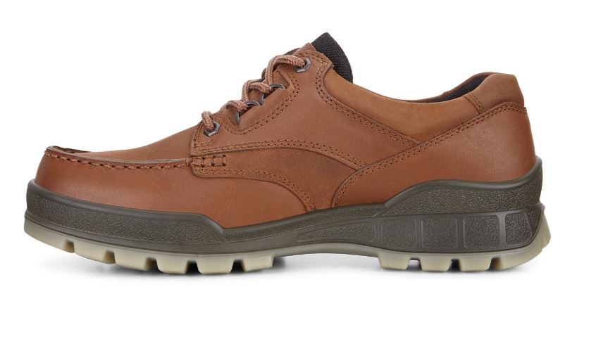 Ecco Bison Track 25 Mens Casual Shoes 831714-52600