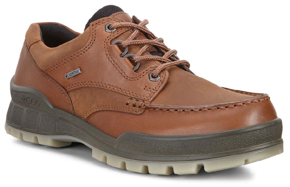 Ecco Bison Track 25 Mens Casual Shoes 831714-52600