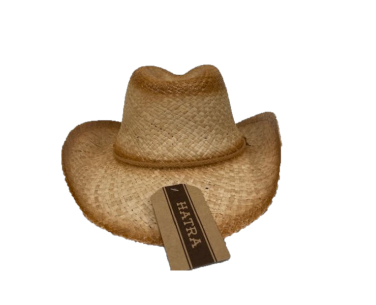 Hat Vision Raffia Coin Western Hat With Trim R42