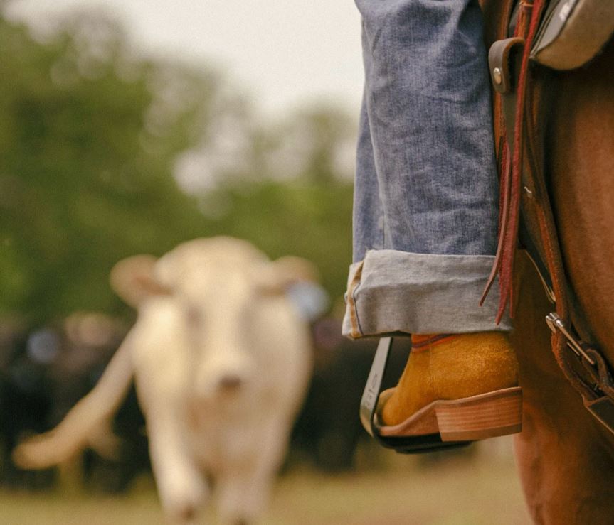 Hyer Boots Bronze/Tangerine Rose Hill 13 Inch Suede Cutter Toe Women's Boots HW42006