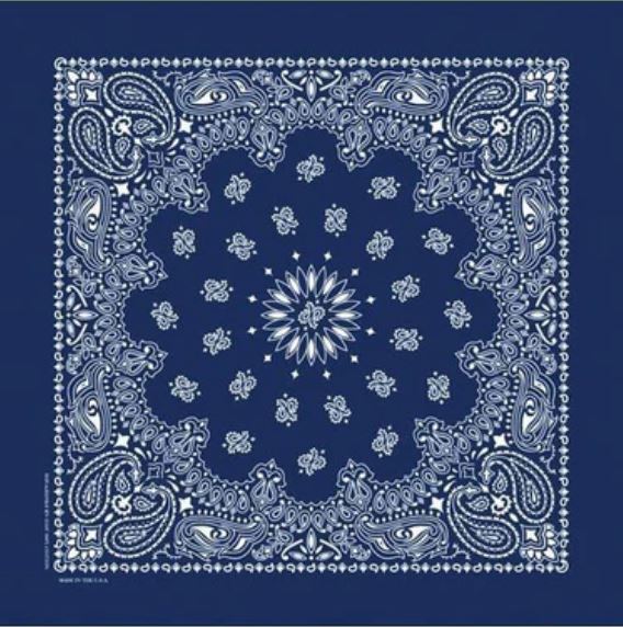02 Navy Paisley American Classic Bandana