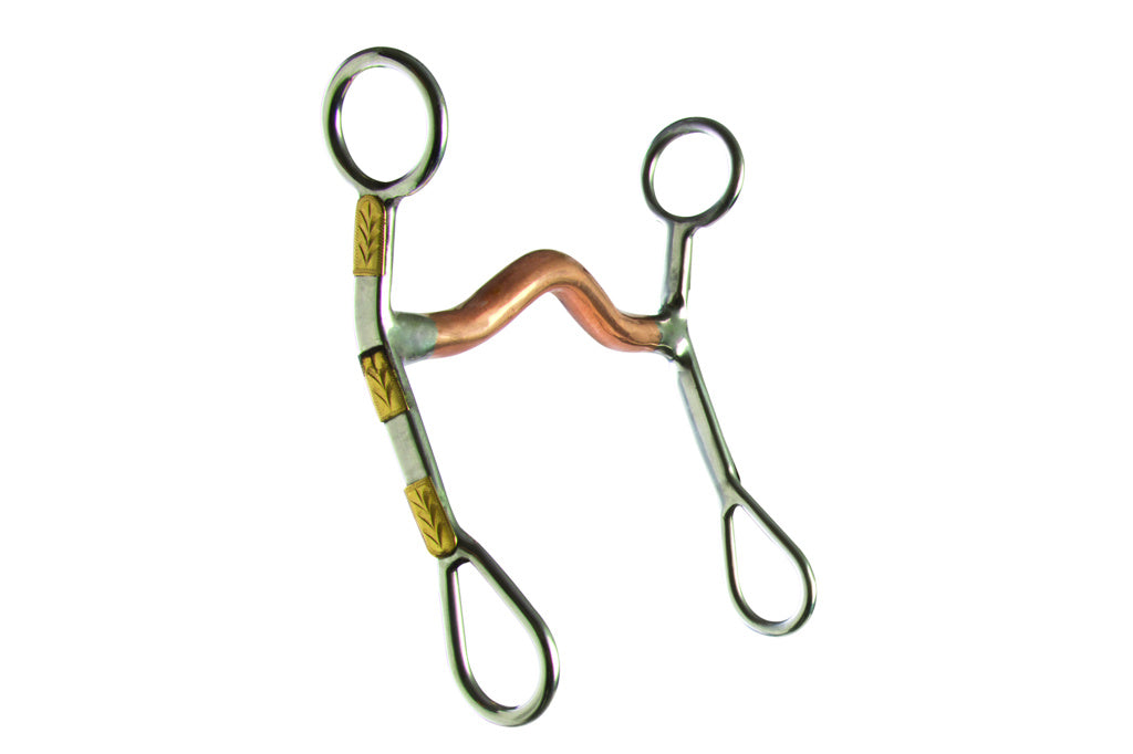 175806 Curb Bit With Brass Trim