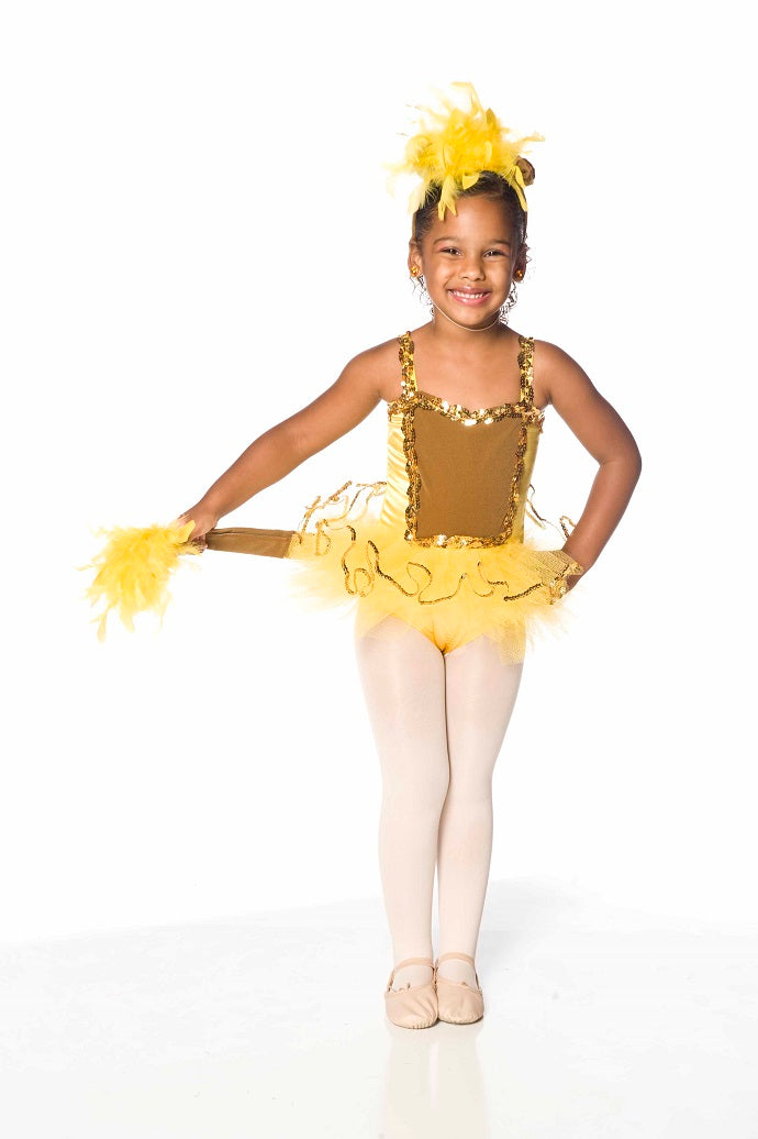 3524 Lil' Lioness Recital Costumes
