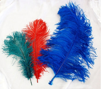 A-66 Ostrich Tips 12inch-16inch