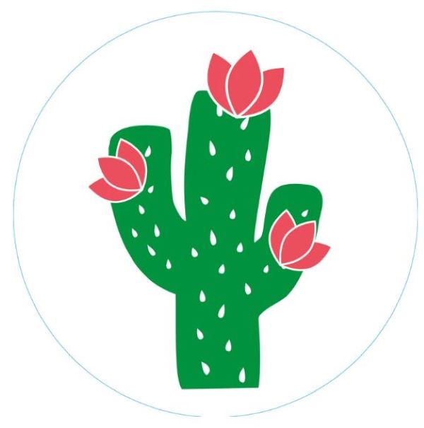 Bogg Bag Cactus Bits