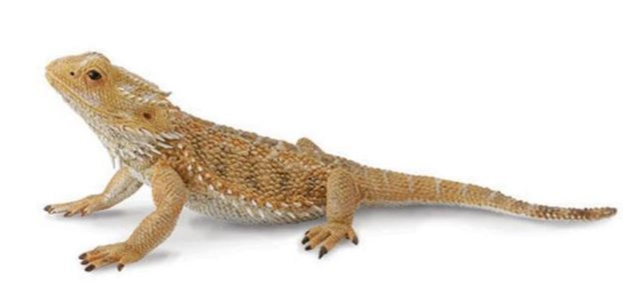Breyer Bearded Dragon Lizard 88567
