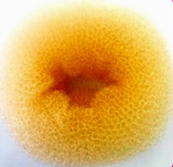 Bun Maker A-BC46-BLND