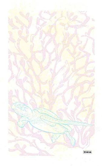 Sand Cloud Blush Coral Turtle Towel