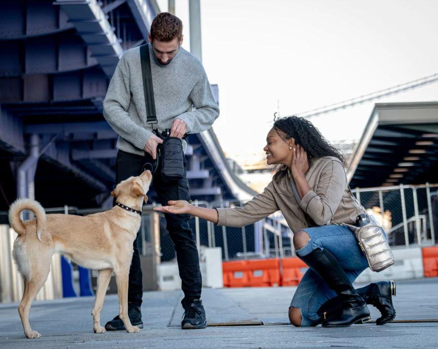 Wanderfull Black Matte Hydrobag WBB1BM