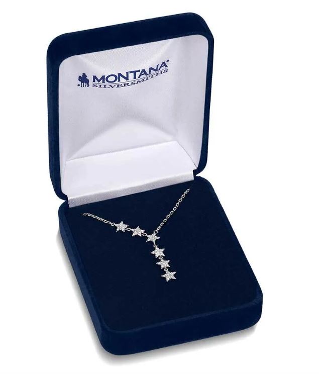 Montana Silversmith Guiding North Crystal Necklace NC5785