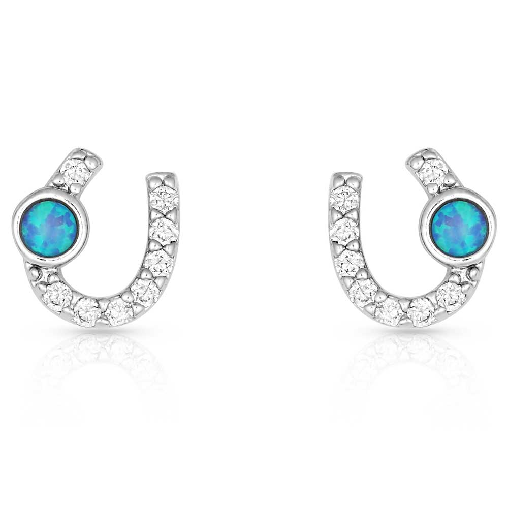 Montana Silversmith Lightfoot Horseshoe Earrings ER3394