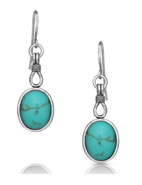 Montana Silversmiths Caught In Turquoise Women's Earrings ER4825