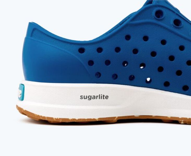 Native Victoria Blue/Shell White/Mash Speckle Rubber Robbie Sugarlite Youth Sneakers (Big Kid Sizes) 15110600-4352