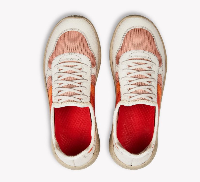 Psudo Mojave Multi Women's Court Shoes 004-12