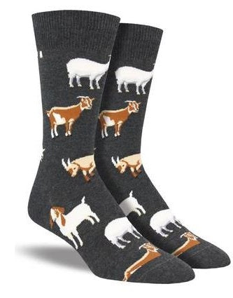 SockSmith Charcoal Men's Silly Billy Socks MNC1701