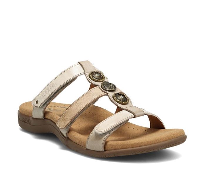 Taos Stone Multi Prize 4 Women's Sandals PZ4-14021-STNM