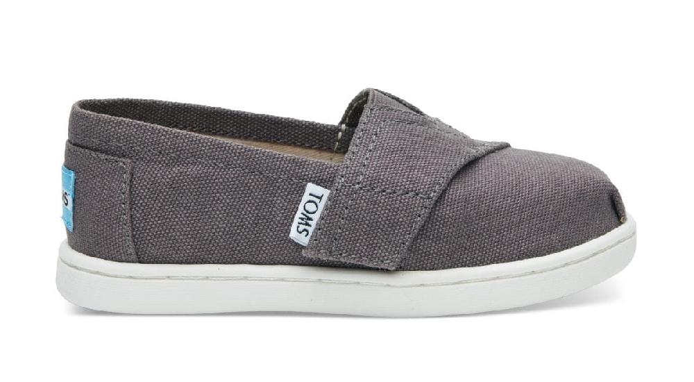 Toms Ash Canvas Classic Tiny Toddler Shoes 10010527