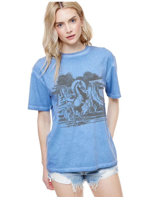 Zutter Blue Horse Desert Canyon Scene Lunar Pigmented Women's Short SleeveTee Shirt K7755-2389-BLU